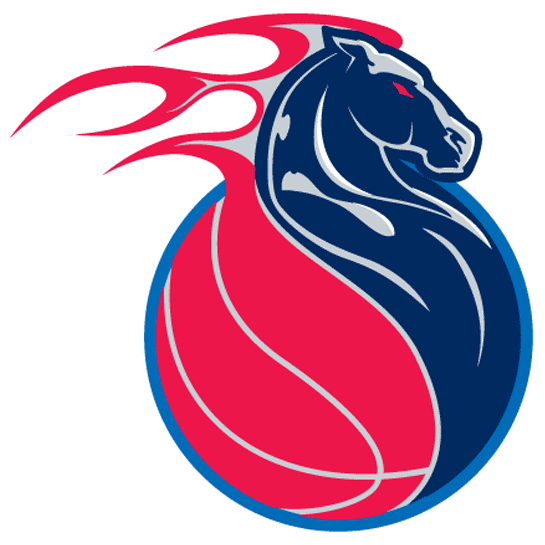 Detroit Pistons 2001-2005 Alternate Logo iron on transfers for fabric version 2